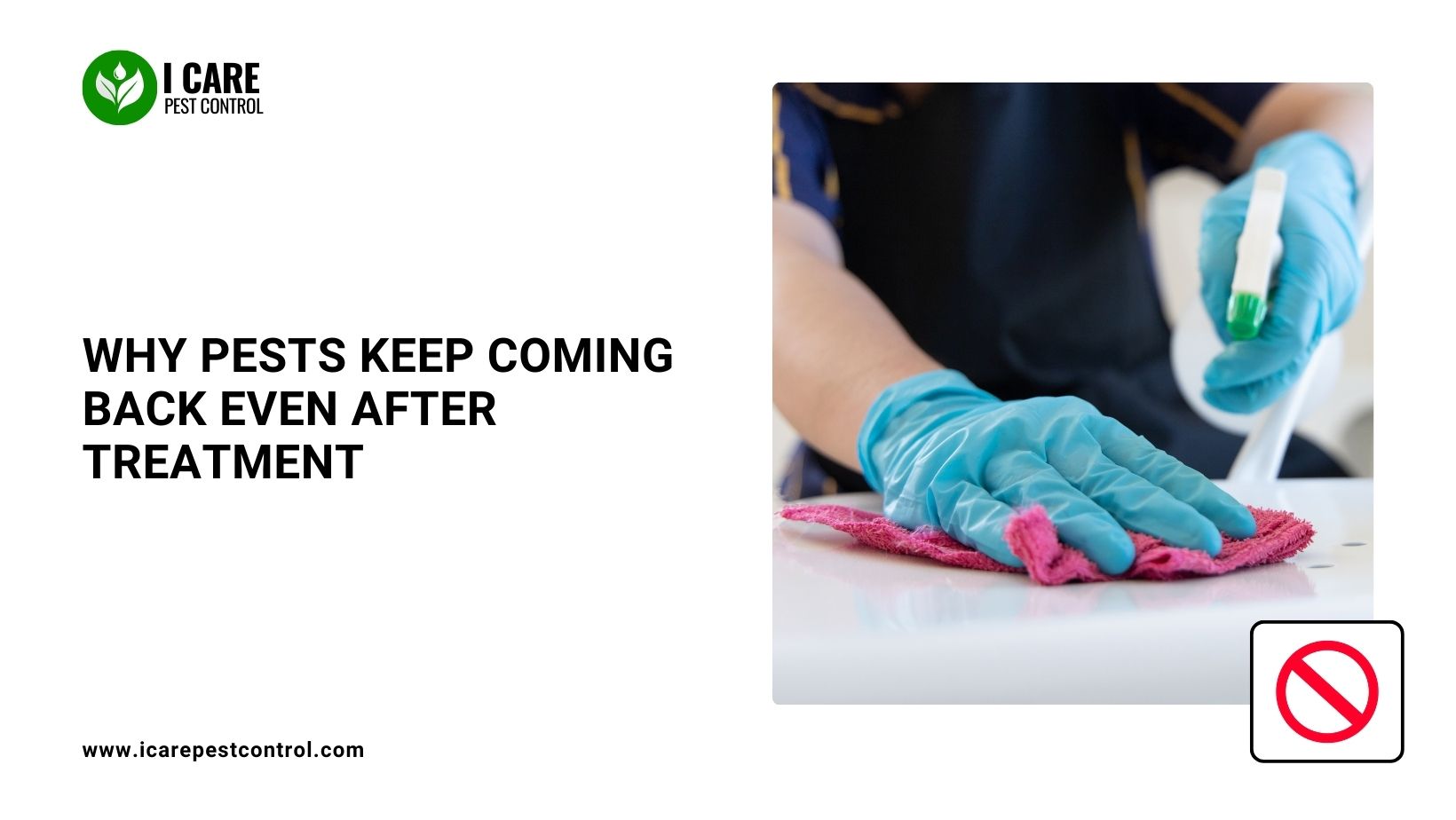 why pests return after treatment