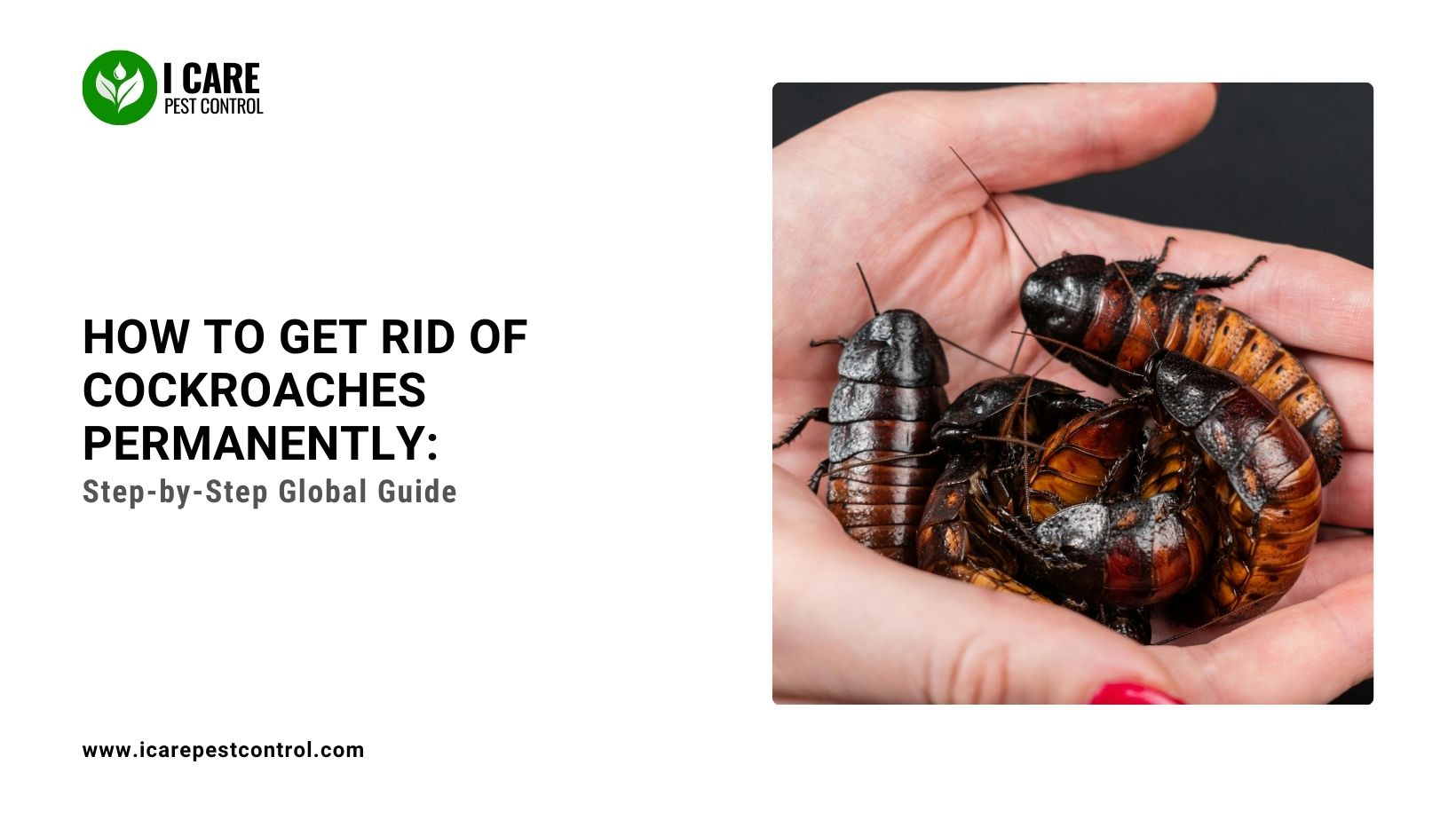 How to Get Rid of Cockroaches Permanently: Step-by-Step Global Guide