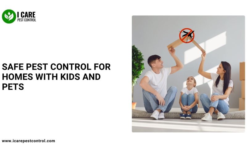 Safe Pest Control for Homes with Kids and Pets