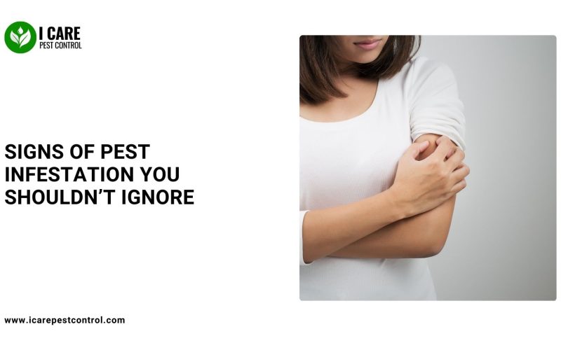 Signs of Pest Infestation You Shouldn’t Ignore